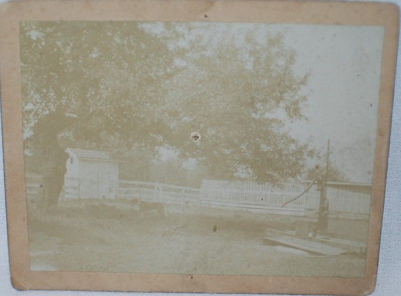 Antique Dog Water Well Pump Bucket Homestead Albumen Cabinet Card 