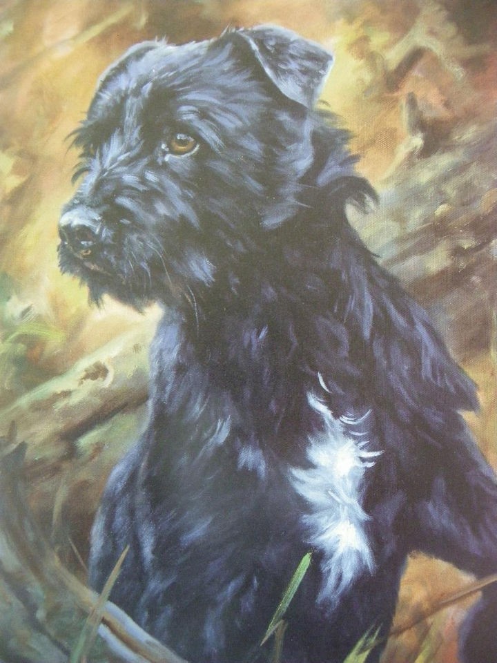 Patterdale Terrier Print  John Trickett Ltd.Edn. 27/500