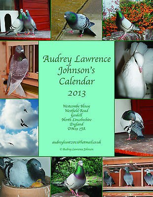 PIGEON CALENDAR, HOMING, RACING, LOFT, SALE NOW HALF PRICE