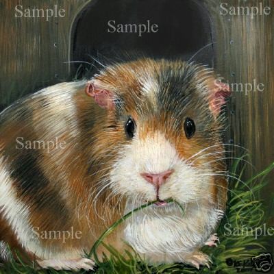 GUINEA PIG L/E#4/50 GICLEE of Painting ART Cavy Pet Kristine Kasheta