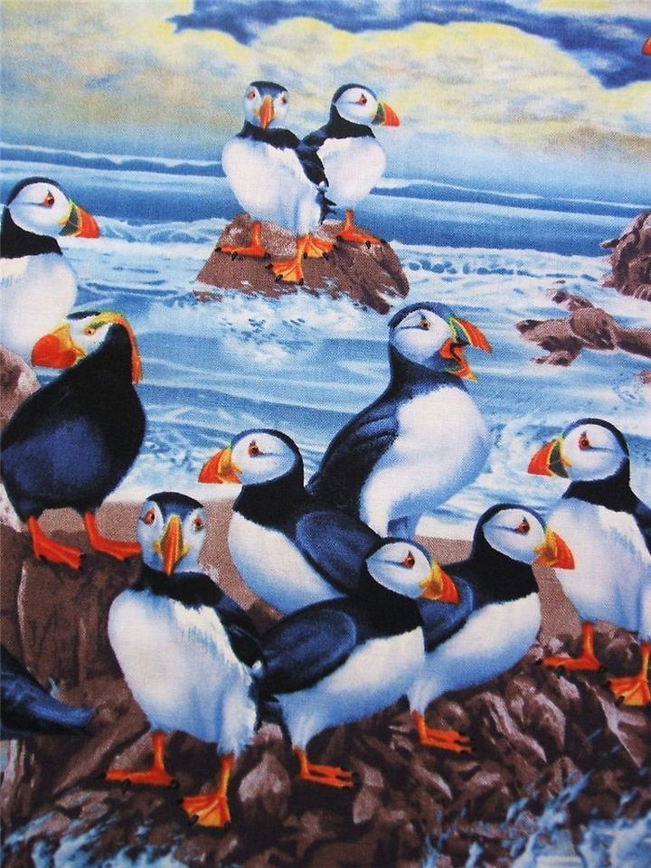 Timeless Treasures Puffins Shore Bird Sea Fabric Yard Cotton