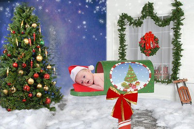 NEW Christmas Vol 6 Digital Backdrops 25 Photo Backgrounds CD