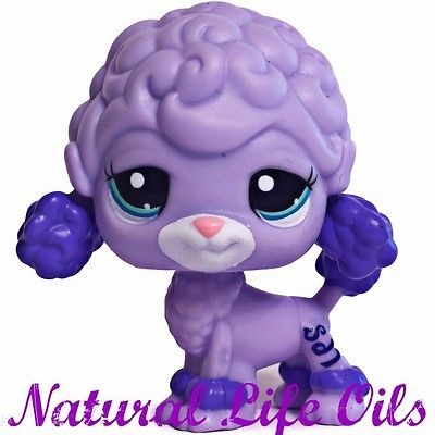 Littlest Pet Shop~#2605 PURPLE POODLE PUPPY DOG Blind Bag~K659 Rare 