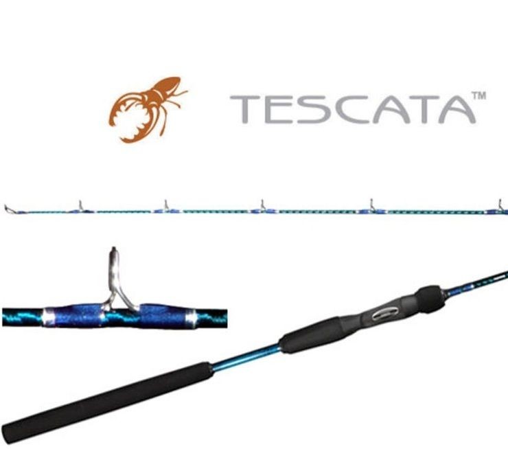 shimano tescata lucanus jig rod tsc 63m 