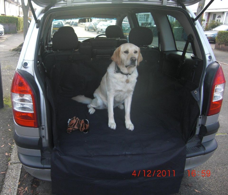 Waterproof Boot Liner Pet Protecter Mat for LANDROVER FREELANDER 1 2 