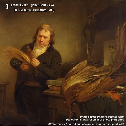 Ornithologist Probably John Latham Ramsay Richard Reinagle 1802 Repro 