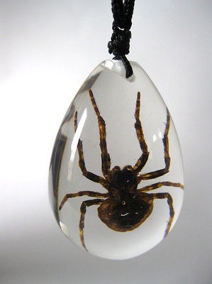 Newly listed Real Spider Insect Glass Goth Necklace & Pendant Strange 