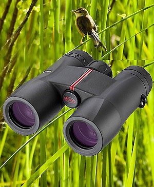 Kowa SV32 8 x 32 Roof Prism Binoculars Black (UK Stock)