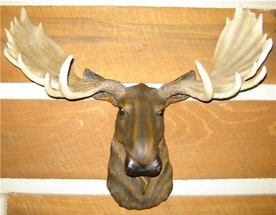 MOOSE HEAD LARGE ANTLER WALL MOUNT LODGE CABIN LOG TAXIDERMY