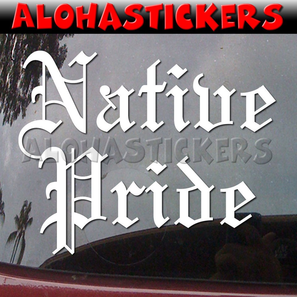 NATIVE PRIDE American Car Truck Van Laptop Moped Vinyl Decal Window 