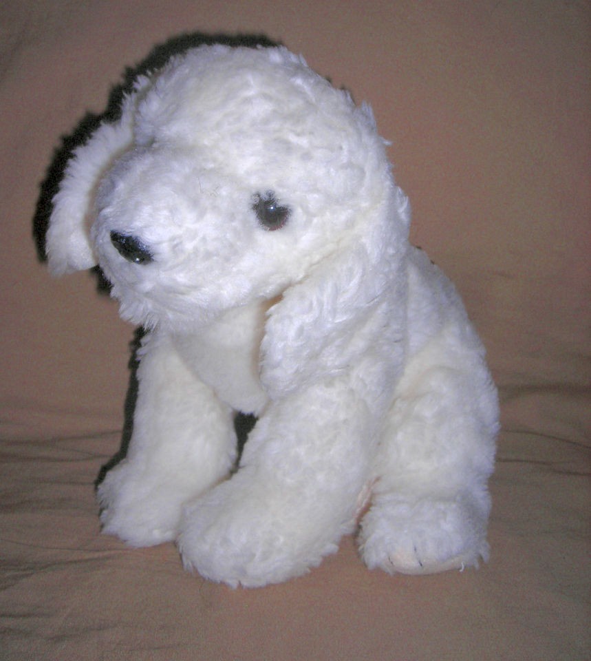 TY BUDDIES plush WHITE DOG, FLUFF ? (RETIRED) BISCHON 