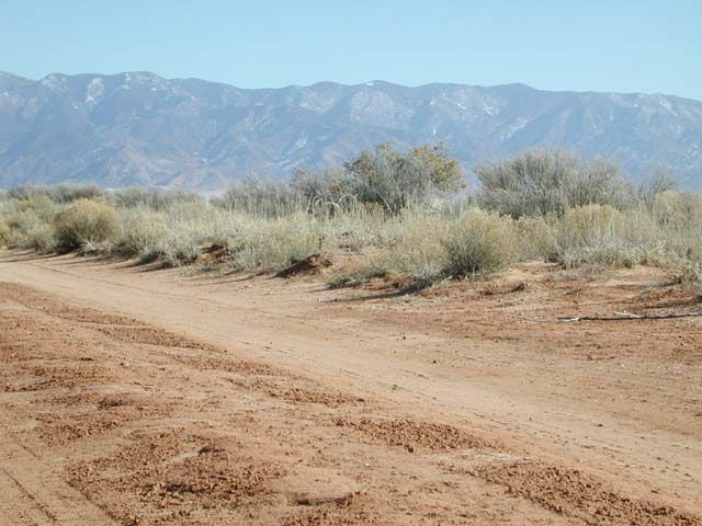 Ranchette 30 Miles from Albuquerque