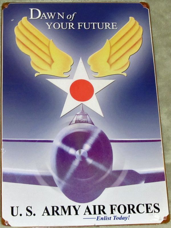 Dawn of Your Future US Army Air Forces P 47 11 x 17 Metal Sign Ships 