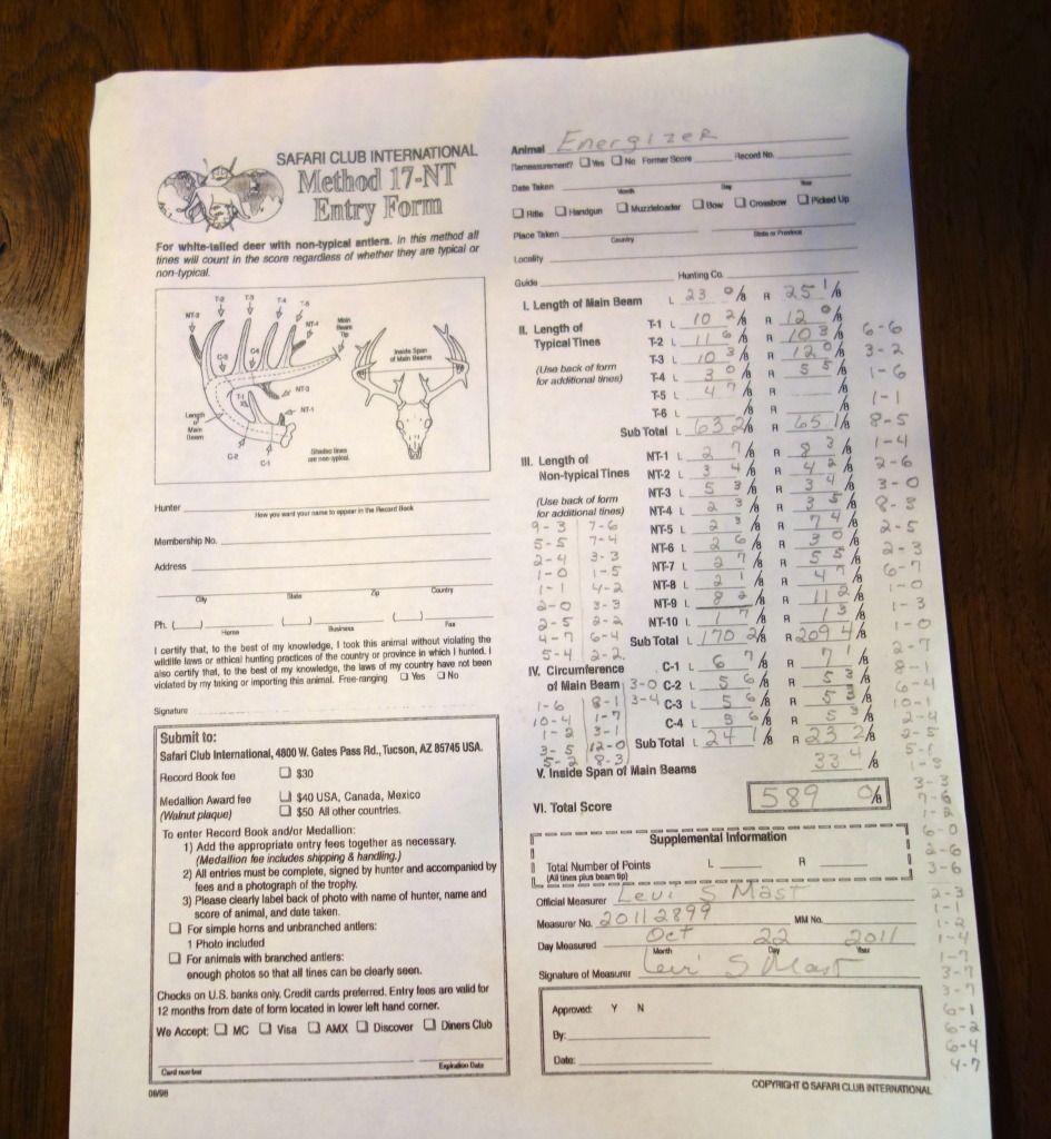 World Record Whitetail Deer Antlers Sci Score Sheet Included On PopScreen