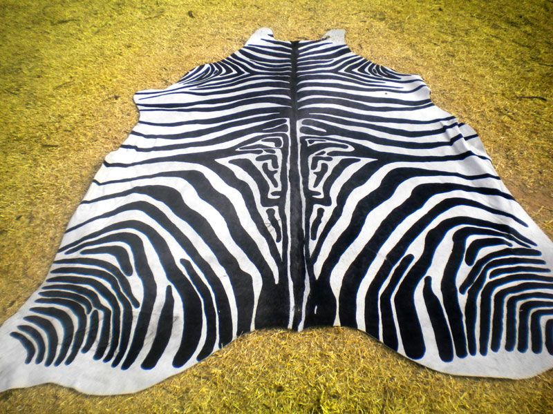 ZEBRA Print/Printed COWHIDE SKIN Rug COW HIDE DC3545b