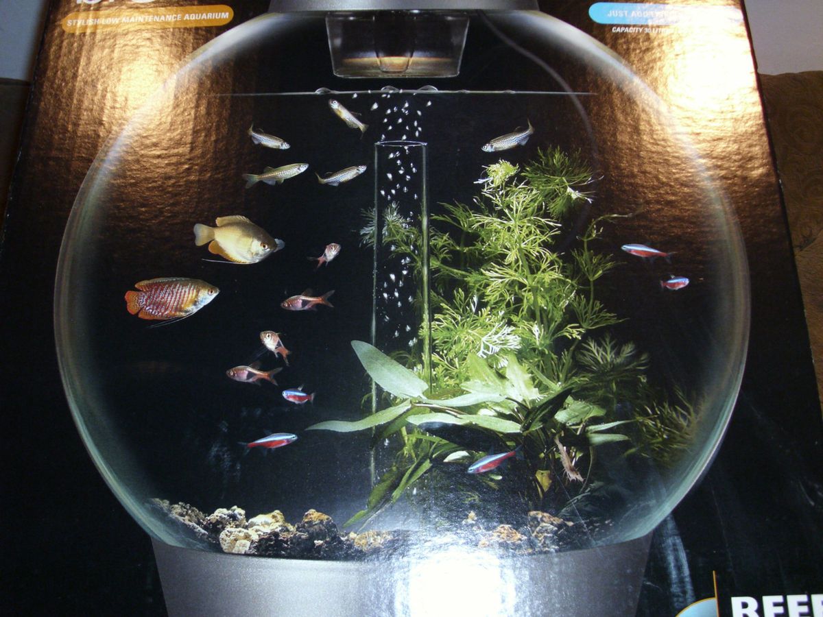 Biorb Round Aquarium 8 Gallons Low Maintenance Reef One