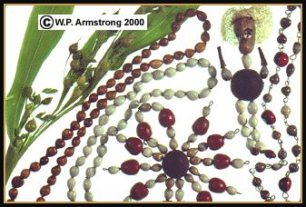 Jobs Tears 8mm Seed Beads Carmelite Nuns Rosary Skull