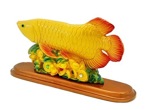 3034_golden_arowana_2