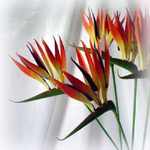   Bird of Paradise Long Stem Artificial Flowers Plastic Tropical