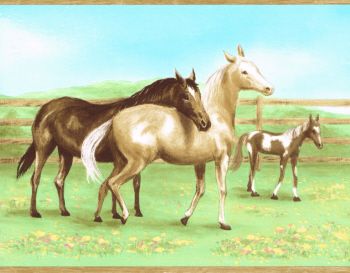 Country Horses Colts Kids 9 Wide in The Paster Wallpaper Border Wall 