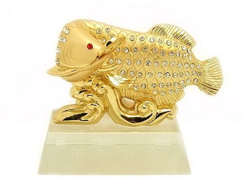 Gold Dragon Arowana Fish to Attract Wealth & Money Luck   Feng Shui 