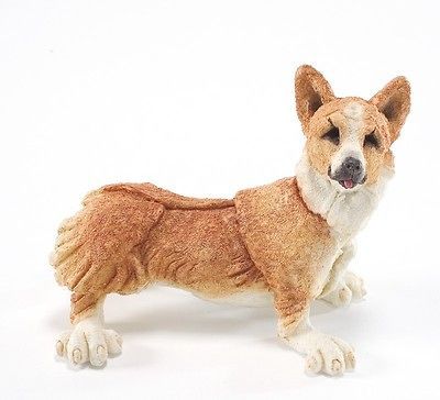 breed apart 70104 welch corgi junior 