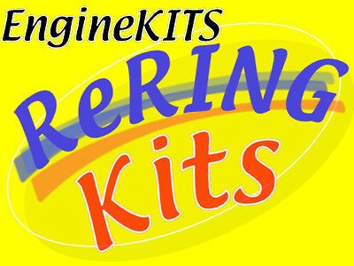 EngineKits AMC 360 1970 78 RERING REBUILD KIT  STD  FOR OVER 25 