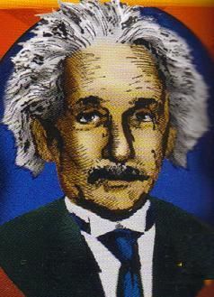 Albert Einstein Instant Disguise Kit