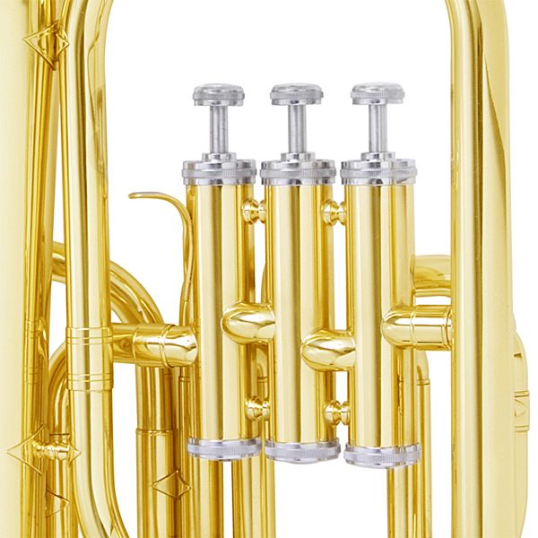 Cecilio AH 280 EB Gold Lacquered Alto Horn Tuner Case