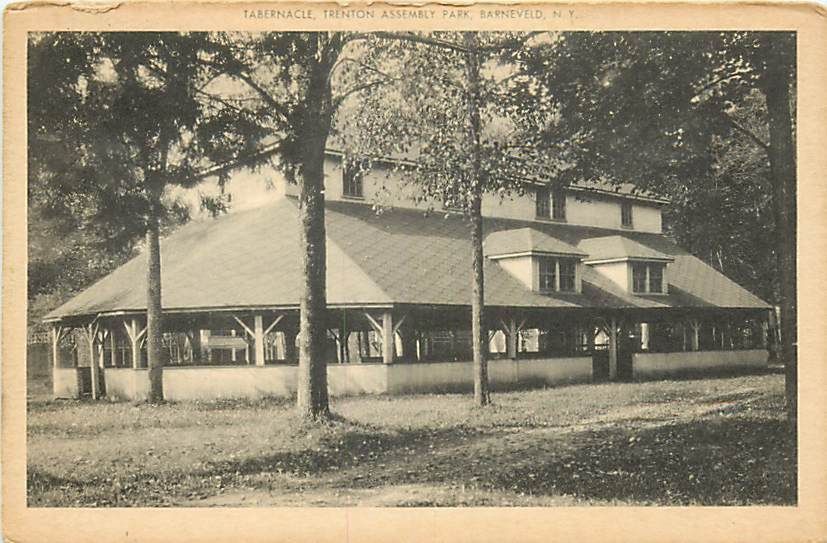 NY Barneveld Trenton Assembly Park Tabernacle T38485