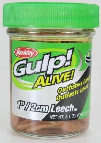 berkley gulp alive leech authorized berkley dealer natural 