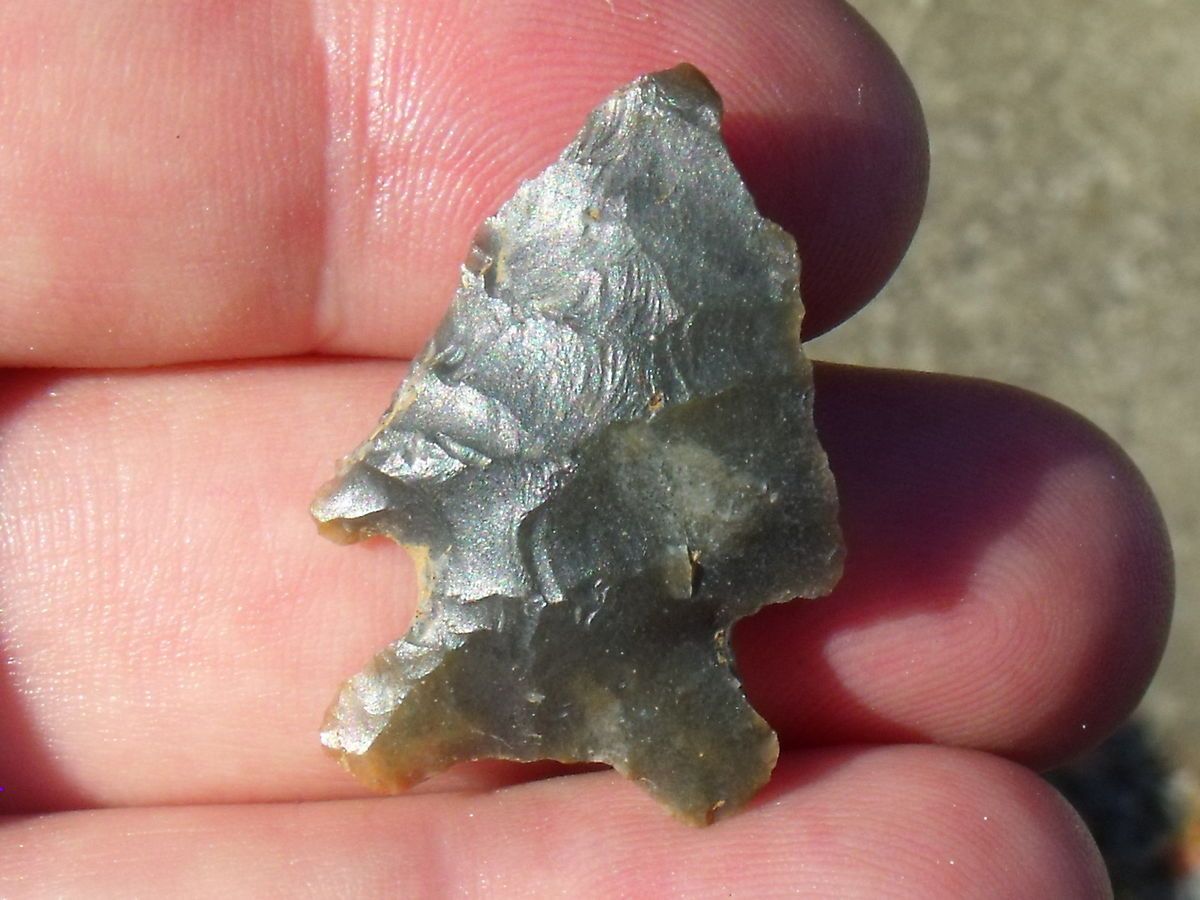   Fine Kentucky Sonora Chert Contacted Base Big Sandy Arrowhead