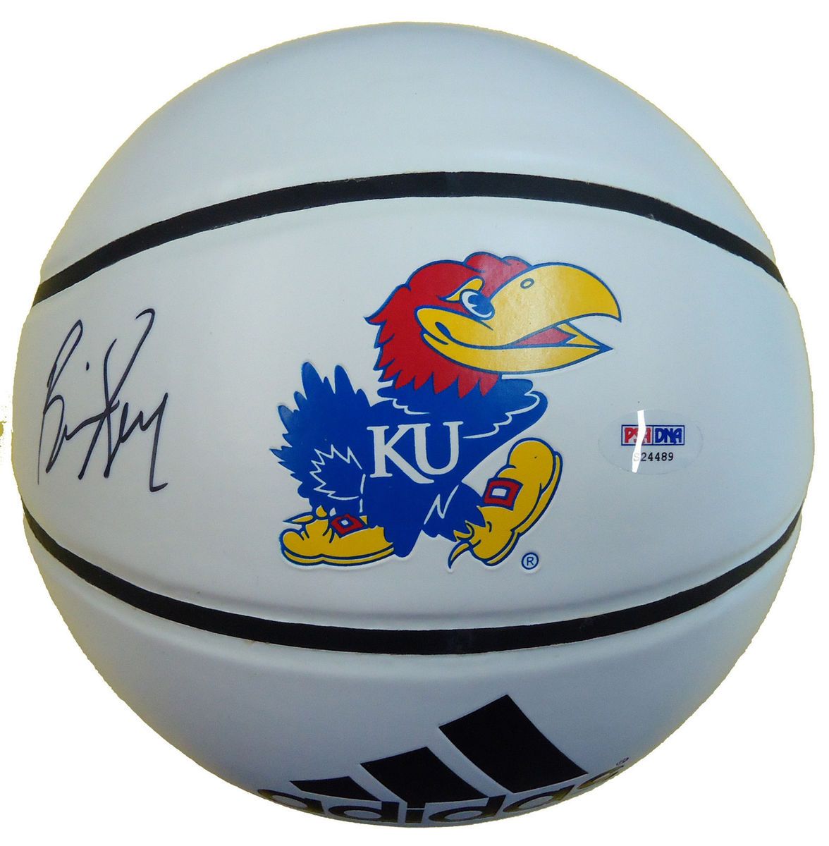 Bill Self Kansas Jayhawks Head Coach Signed Auto Logo Basketball COA 