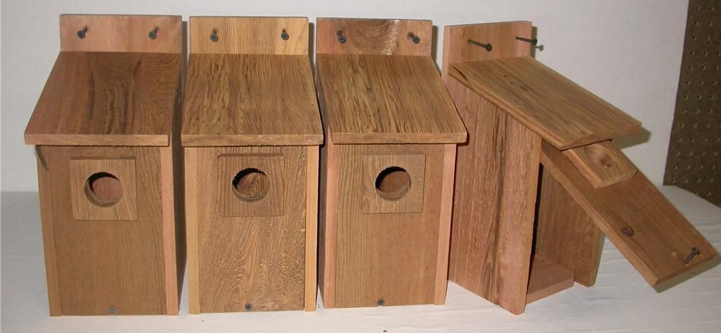 Western Bluebird Bird Houses Nest Hole Size 1 9 16