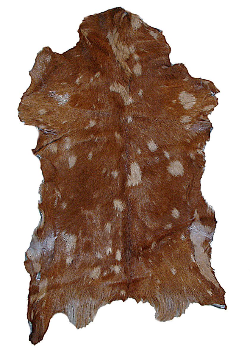 Western Taxidermy Hide Rug Goat Rodeo Rugs Skin 60