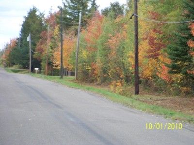   UTILITIES AND PAVED ROAD FRONTAGE AT BEAUTIFUL BON SECOURS ESTATES