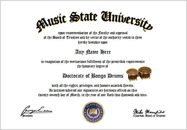 Bongo Drums Diploma Bongo Drum Lover Diploma