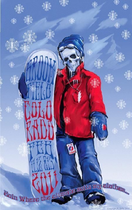 Furthur Broomfield 2011 Concert Poster Biffle Grateful Dead Snowboard 