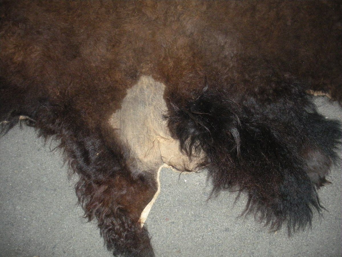 Huge Buffalo Robe Rug Hide Pelt Fur American Bison