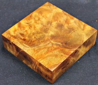 exotic wood camphor burl turning blank cp668