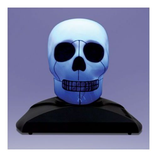 Can You Imagine Halloween Color Changing LED Spooky Sound Skull Magic 