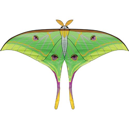   Giant Luna Moth Single Line Delta Kite by Carsten Domann 45876