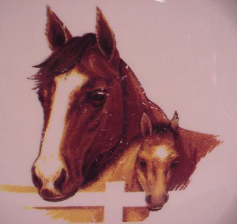 Tienshan Folkcraft Cedar Valley Stables Stoneware 10 7 8 Dinner Plate 