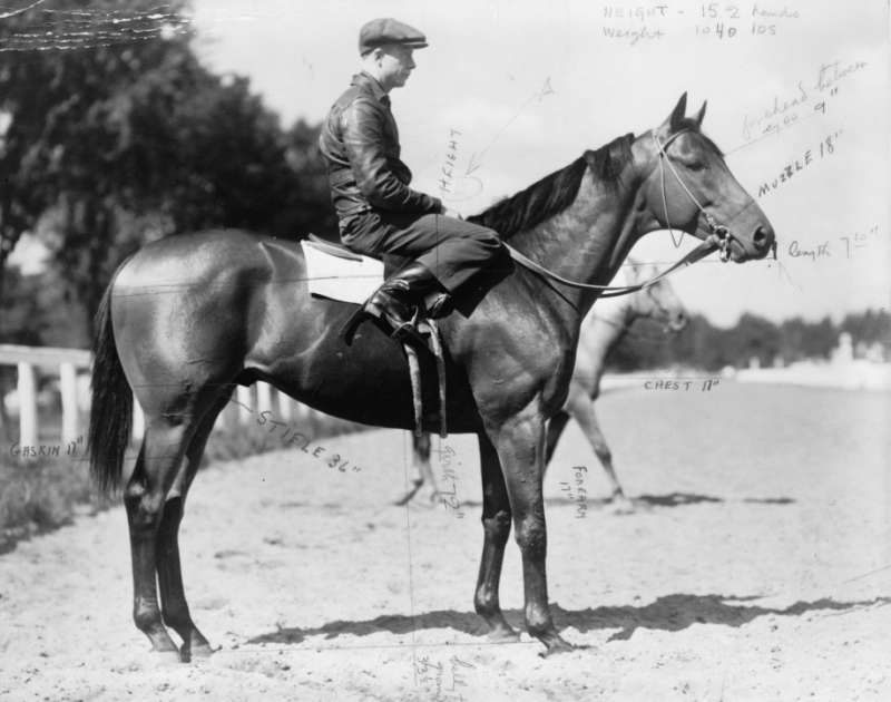  Bert Clark Thayer, Pollard up / photograph by Bert Clark Thayer. #485