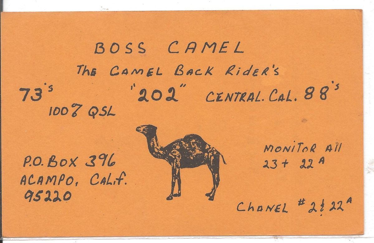 Boss Camel Acampo California Vintage QSL Card