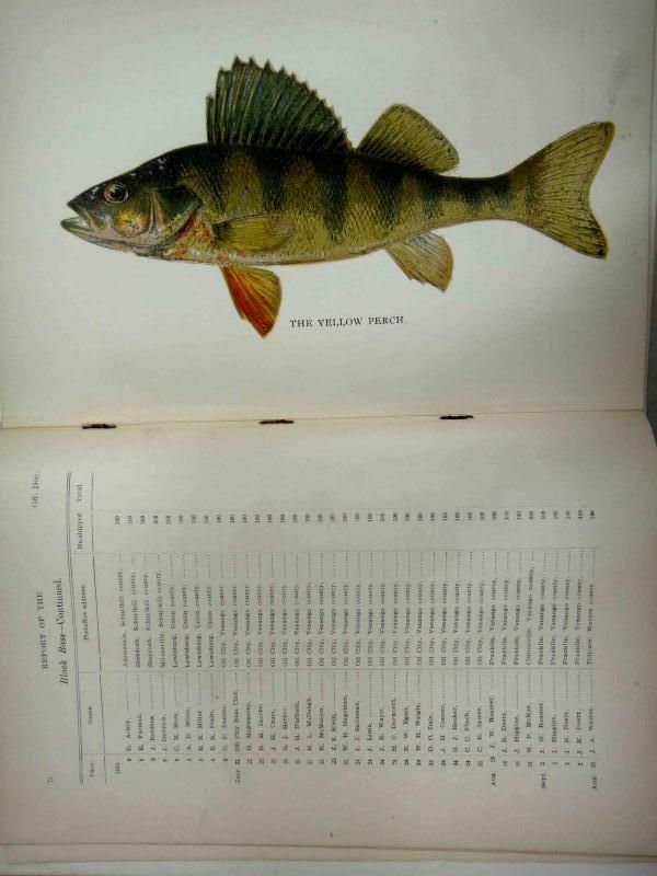 1897 antique FISH COLOR PRINTS~ PENN STATE COMMISSIONERS REPORT