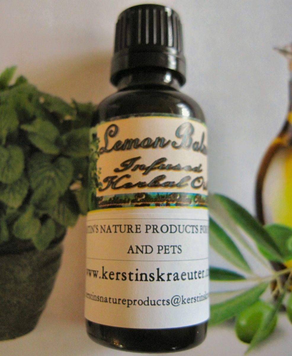 Lemon Balm Infused Herbal Oil Cold Sores Herpes Shingles Tension