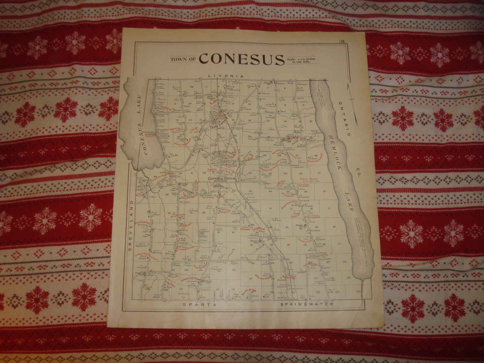 Antique Caledonia Conesus Moscow Livingston County New York Map Fish