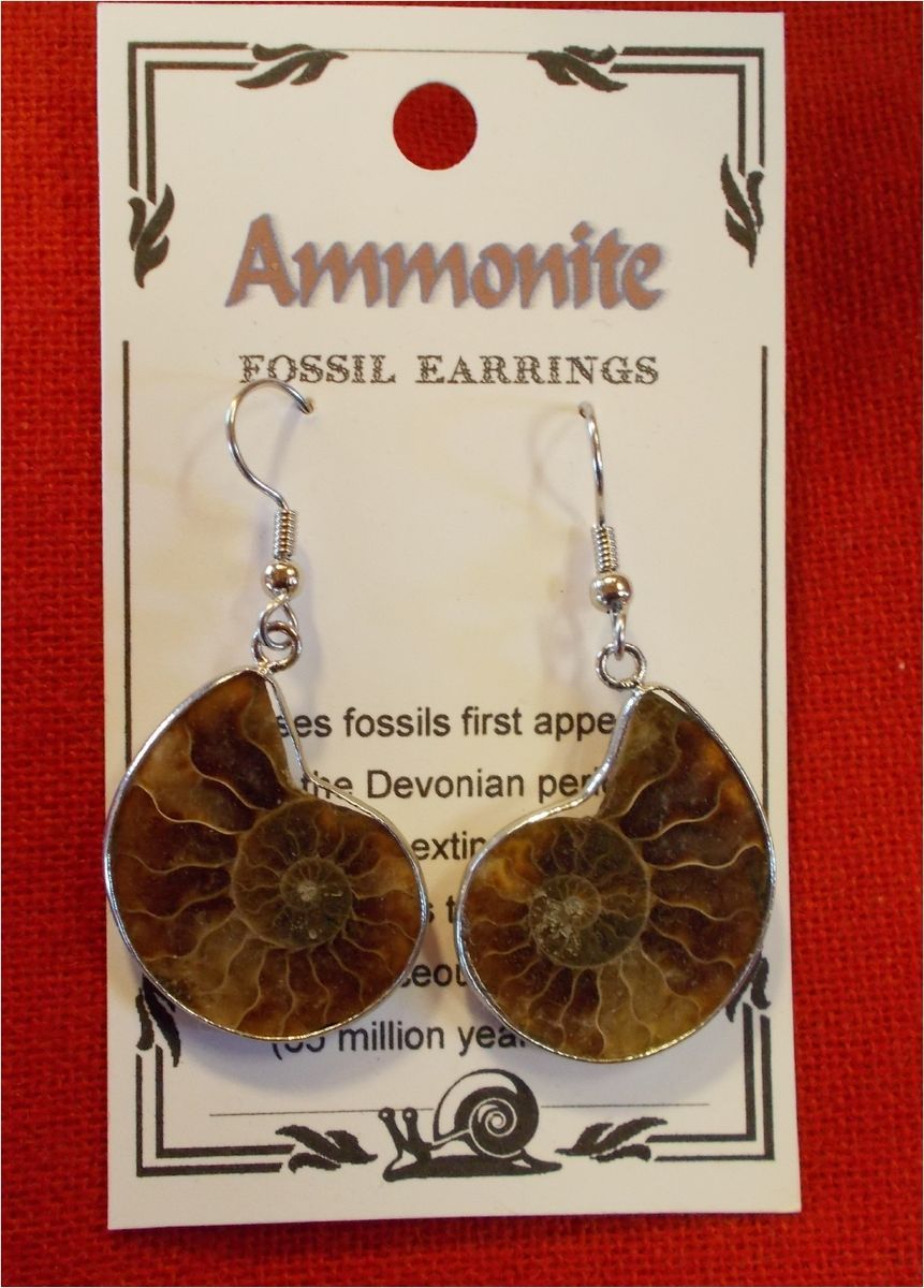 Beautiful Hand Made in Alaska Ammonite Fossil Earrings