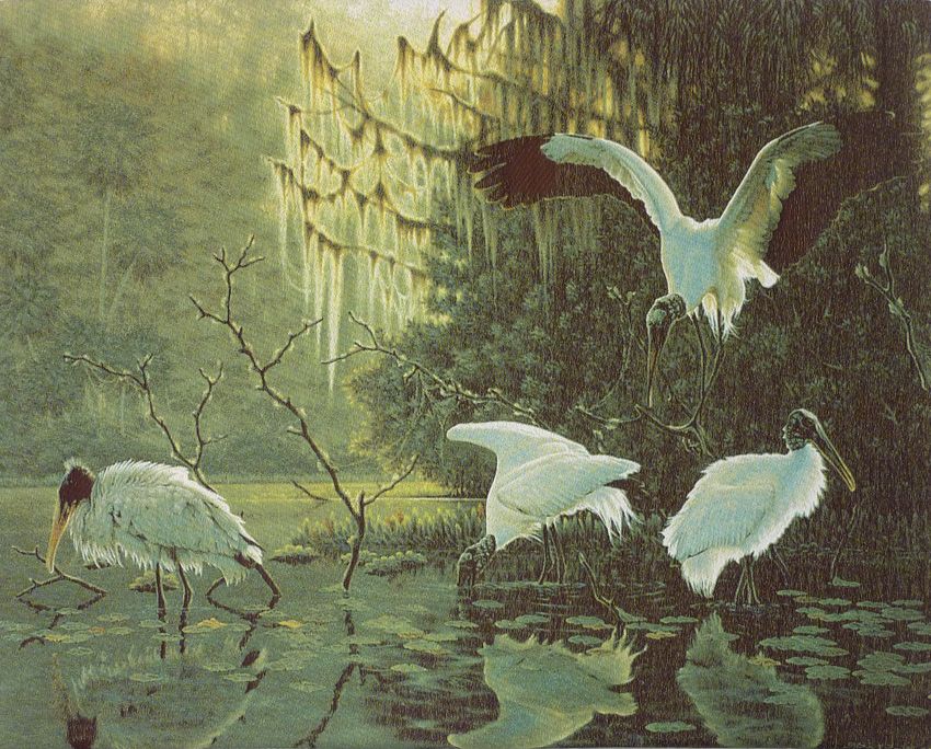 20 Woven Stretched Tapestry Black Moor The Crane Lake